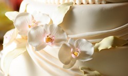 Lorem ipsum dolor sit